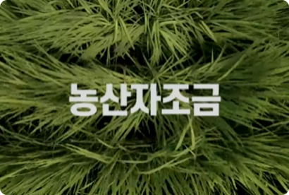 2024 농산자조금 타이포그래피